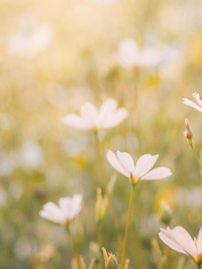 sfeerafbeelding van Psycholoog Amstelveen